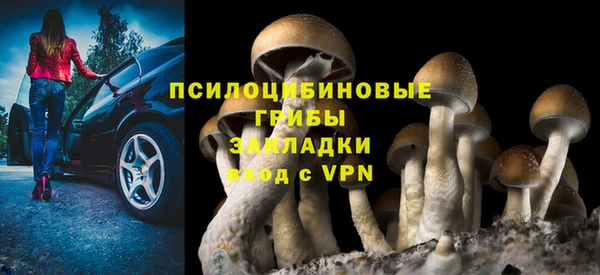 ECSTASY Волоколамск